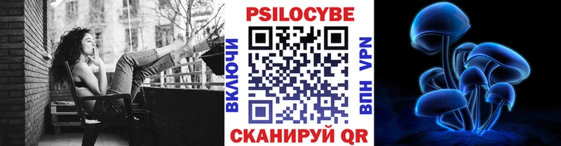 Купить где  Семикаракорск  Псилоцибиновые грибы Psilocybe 